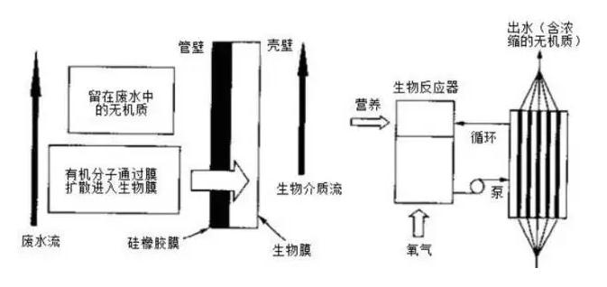 污水处理mbr膜工艺_污水处理系统的膜处理_mbr膜污水处理技术优缺点